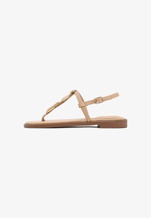 Sandalia plana color beige con suela fina, diseño de tira en T, pequeña hebilla dorada en la correa del tobillo y estilo minimalista sobre fondo blanco.