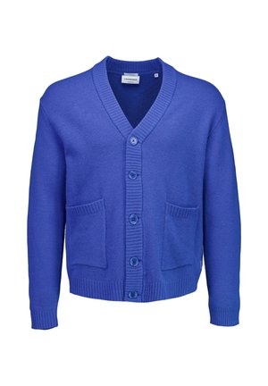 Blauwe gebreide cardigan met een V-hals, vijf knopen en twee voorzakken met geribbelde randen. Zachte textuur en gemiddeld gewicht.