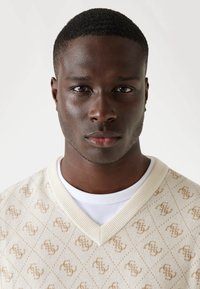 Beige Strickpullover mit einem Rautenmuster und Logodetails, ausgestattet mit einem V-Ausschnitt und über einem weißen T-Shirt getragen.