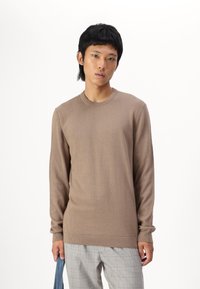 Only & Sons ONSALEX CREW NECK - Trui - desert taupe