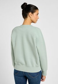Felpa verde chiaro con polsini e vita a costine, caratterizzata da un colletto rotondo e una vestibilità rilassata. Indossata sopra jeans blu scuro.