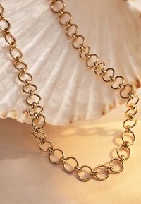 Collier en chaîne dorée avec des maillons ronds entrelacés posé sur un coquillage blanc sur un fond beige.