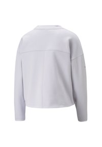Felpa grigio chiaro corta con maniche lunghe, scollatura rotonda e dettagli di cucitura sul retro. Realizzata in un morbido tessuto testurizzato con polsini a coste.