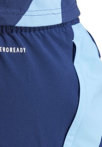 Sportliche Shorts in Marineblau und Hellblau aus glattemMaterial, mit einem kontrastierenden Paneeldesign und einer Seitentasche, versehen mit dem "EROREADY"-Logo.