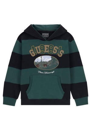 Hoodie - mehrfarbig, grün