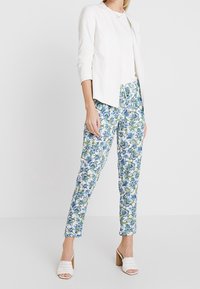 Rich & Royal Broek - multi-coloured