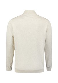 Beige katoenen trui met een hoge kraag, lange mouwen en geribbelde zoom en boorden. Soepele textuur, minimalistisch ontwerp, zonder patroontjes.