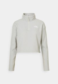 The North Face GLACIER CROPPED ¼ ZIP Fleece jumper light grey