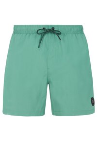 Non sélectionné, frosty green