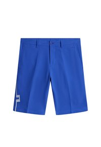 Ej vald, clematis blue