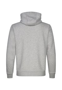 Sweat-shirt à capuche gris clair vu de dos avec manches longues et poignets et ourlet côtelés.