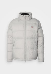 WALDENBURG JACKET - Winter jacket - ultimate gray