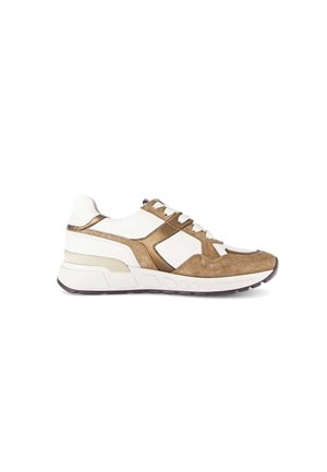 SNEAKER LOW - Skateschuh - panna lion bronce