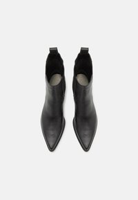 Dolce Vita SHADIE - Classic ankle boots - black