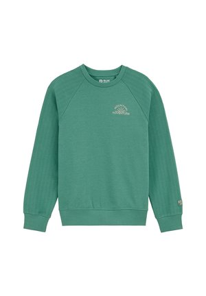 Zielona bluza crewneck z prążkowanymi rękawami, napisem „Mountain Adventure” i grafiką gór na piersi oraz małym logo na mankiecie.