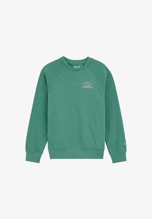 Zielona bluza crewneck z prążkowanymi rękawami, napisem „Mountain Adventure” i grafiką gór na piersi oraz małym logo na mankiecie.