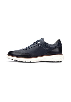CANTERBURY - Zapatillas - blue