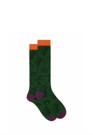 FANTASIA GRAPPOLI DUVA - Socken - green