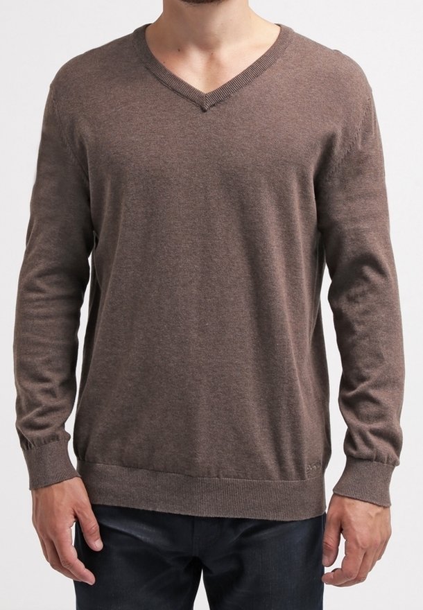 Pull marron en V, fabriqué en tissu doux, avec des manches longues, des poignets côtelés et un ourlet. Design simple sans motifs ni accents visibles.