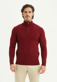 Pull en bordeaux avec col zippé, manches longues et ourlet côtelé. Fabriqué en tissu tricoté doux, avec une texture lisse et uniforme.