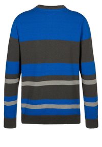 DC Shoes MARBLE ARCH - Jumper - nautical blue