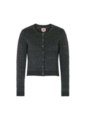 Spieth & Wensky ESLEM - Cardigan - dunkelgrau