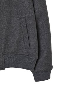 Calliope TINTA UNITA - Giubbotto Bomber - grigio