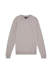 Lichtgrijze sweatshirt met lange mouwen, ronde hals en geribbelde manchetten. Bevat een klein embleem op de borst. Gemaakt van zachte, gestructureerde stof.