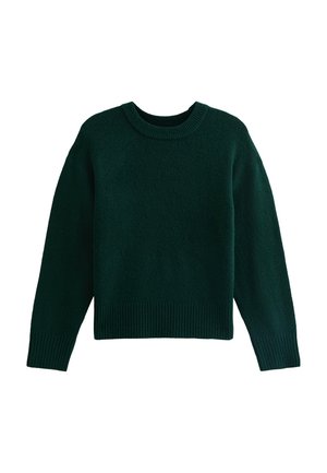 CREW NECK  - Maglione - dark green