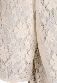 Krēmkrāsas mežģīņu audums ar ziedu un ģeometriskajiem rakstiem, kas parāda tekstūru un detaļas drapējumā.