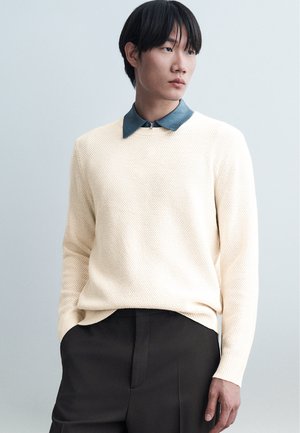 Νεαρός άνδρας με μαύρα μαλλιά που φοράει ελαφρώς υφασμένο κρεμ πουλόβερ πάνω από ένα μπλε πουκάμισο με γιακά και μαύρο παντελόνι, κοιτάζει προς το πλάι.