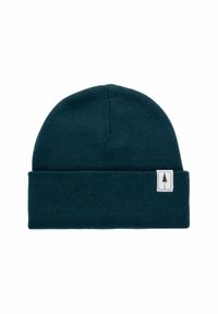 Teal knit beanie with a folded cuff. Features a rectangular label with a tree logo. Soft texture, simple design, and medium thickness.