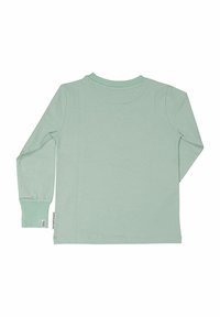 Långärmad skjorta i mjuk mintgrönt tyg med rundad halsringning, ribbade ärmslut och detalj med sidetikett. Slät textur, avslappnad design.