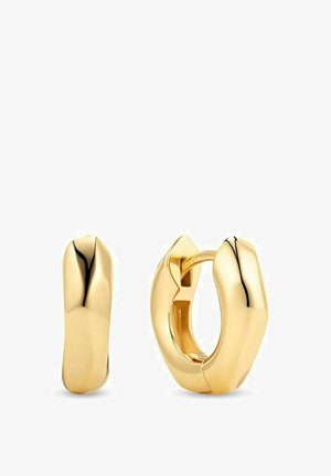 Guldtonade hoops med slät, polerad yta; den ena örhänget är en komplett ring, medan den andra har en avlång, böjd form.