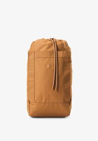 Unselected, ginger biscuit