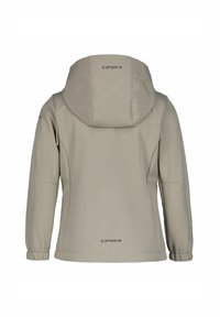 Vaaleanharmaa pehmeäkuorinen takki hupulla, elastisilla hihansuilla ja hillityillä mustilla "Icepeak" -logoilla selässä, hupussa ja hihoissa.