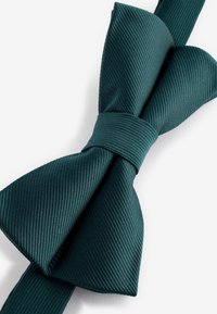 Next TWILL STANDARD - Fliege - green