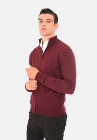Maglione zip-up bordeaux, con polsini e orlo a coste, caratterizzato da una texture liscia e un design aderente. Abbinato a pantaloni neri.