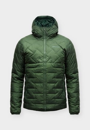 Patagonia, DURABLE HOODY - Μπουφάν με πούπουλα - treeline green
