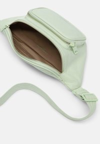 Borsa a tracolla verde chiaro con una texture liscia, una tasca con cerniera, tracolla regolabile e un ampio rivestimento interno marrone.