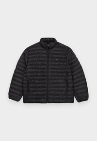Calvin Klein QUILT JACKET - Jas - black