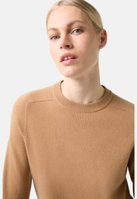 Pull en maille beige à col rond avec un col texturé et des coutures d'épaule. Tissu lisse, design ajusté, sans motifs ni accents visibles.