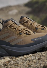 Tan hiking shoes with textured upper, GORE-TEX label, gray accents, and rugged soles; features laces and a cushioned collar for support.