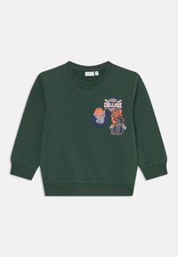 Felpa verde in cotone con polsini e orlo a coste, caratterizzata da grafiche sportive colorate: un pallone da basket, una tigre e la scritta "College".