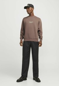 Jack & Jones JORVESTERBRO CREW NECK - Sudadera - deep taupe