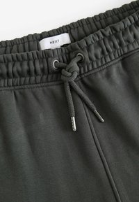 Next JOGGERS - RELAXED FIT - Tréningruha alsók - slate grey