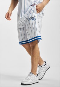 FUBU - RETRO PINSTRIPE  - Shorts - white blue Miniatuurafbeelding 1