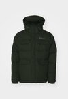 LANDROAMER™ PUFFER JACKET - Zimska jakna - greenscape