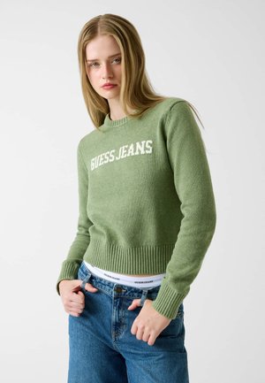 INTARSIA SWTR - Maglione - hellgrün