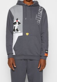 Felpa grigia realizzata in misto cotone, con personaggi dei cartoni animati Sylvester e Tweety. Include tasca frontale e toppa con logo laterale.
